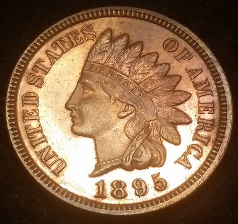 My-New-Find-1895-Proof-Indian-Cent-Snow-1-FS-301